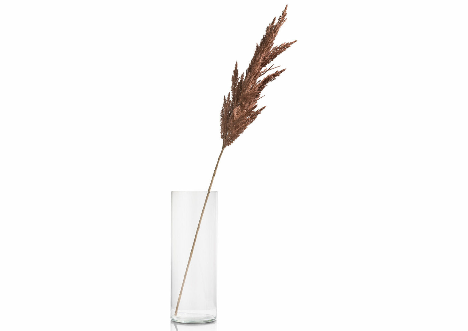 FLOARE ARTIFICIALA PAMPAS