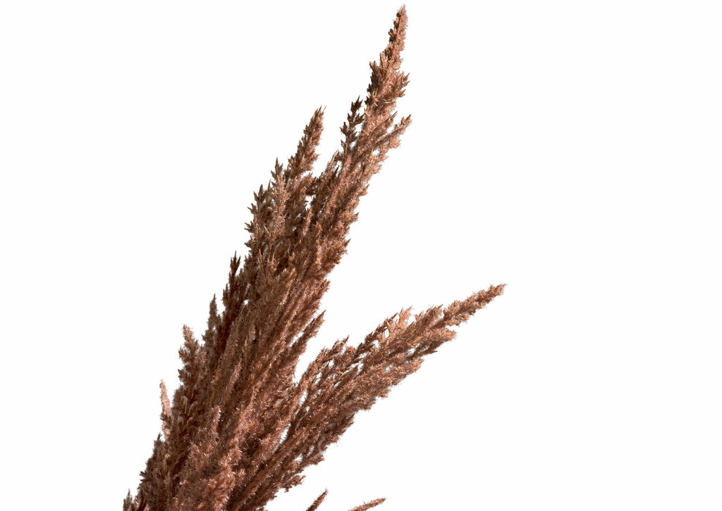FLOARE ARTIFICIALA PAMPAS