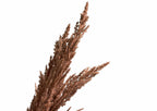 FLOARE ARTIFICIALA PAMPAS