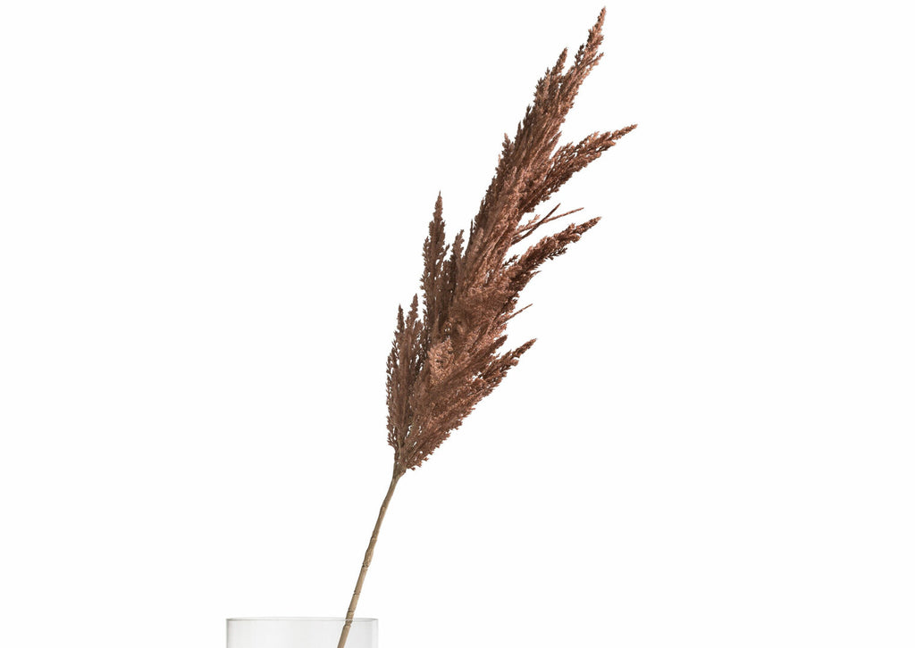 FLOARE ARTIFICIALA PAMPAS