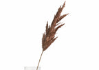 FLOARE ARTIFICIALA PAMPAS